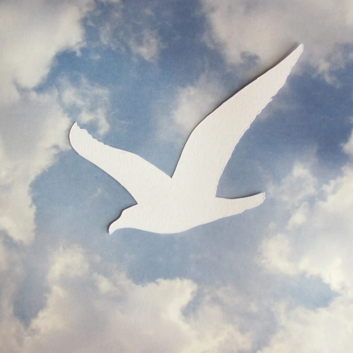 Chekhov's The Seagull with San Francisco Classical Theatre