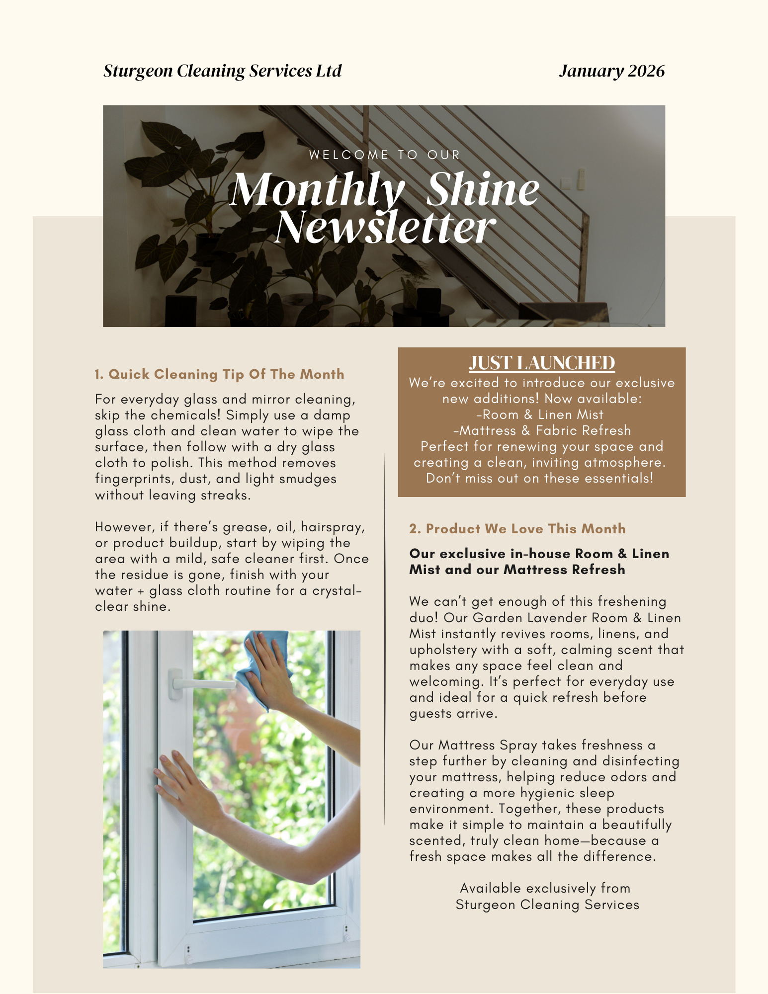 ✨January Monthly Shine Newsletter ✨ 