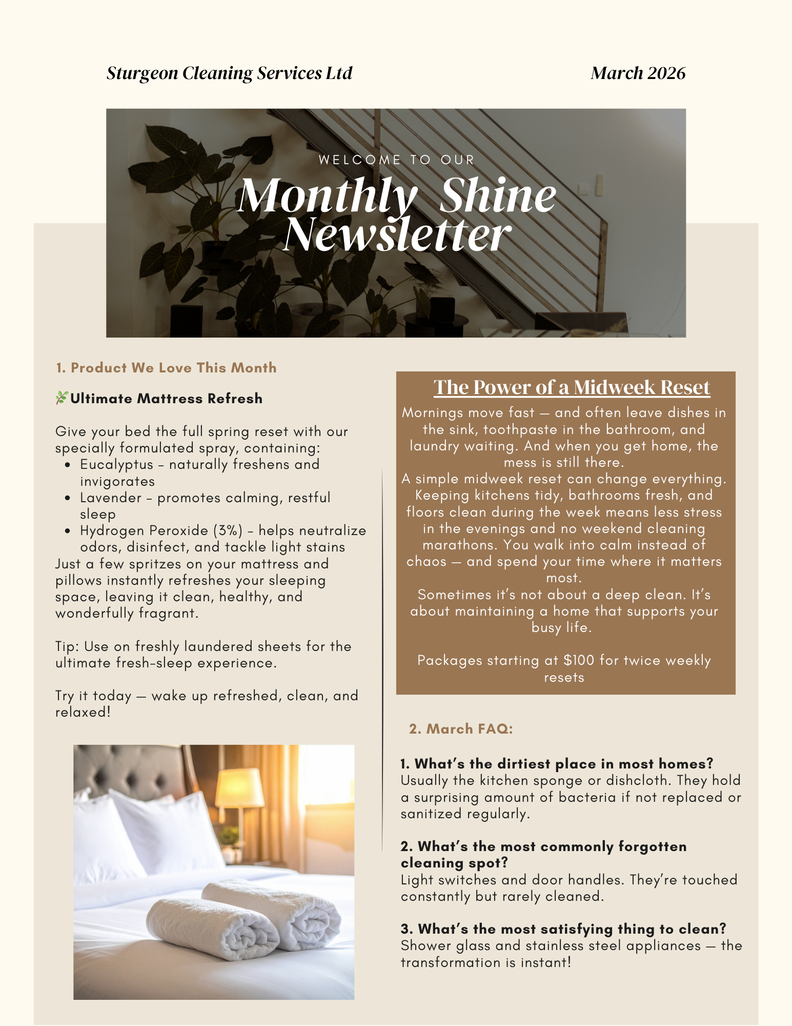 March Monthly Shine Newsletter – Fresh Tips for a Calm, Clean Home🌿