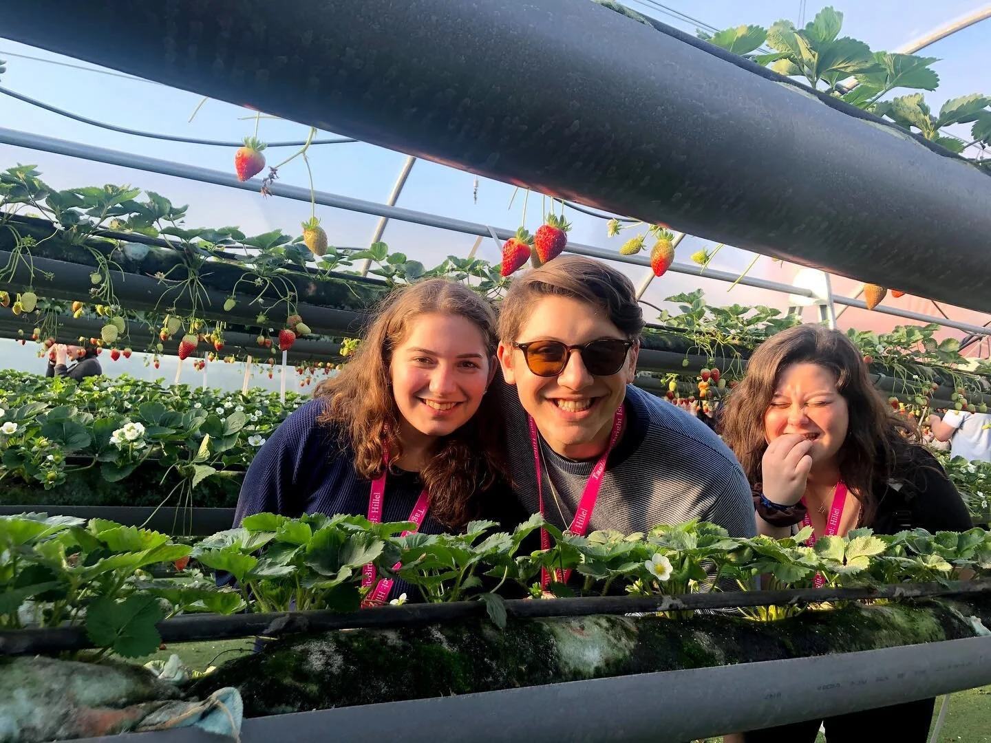 Cheers to7️⃣3️⃣ years of Israeli Independence !! Tag us  in your pics so we can reminisce together !!! WE MISS YOU ! 🥺 Yom Ha&rsquo;atzmaut Sameach 🇮🇱🇮🇱🇮🇱