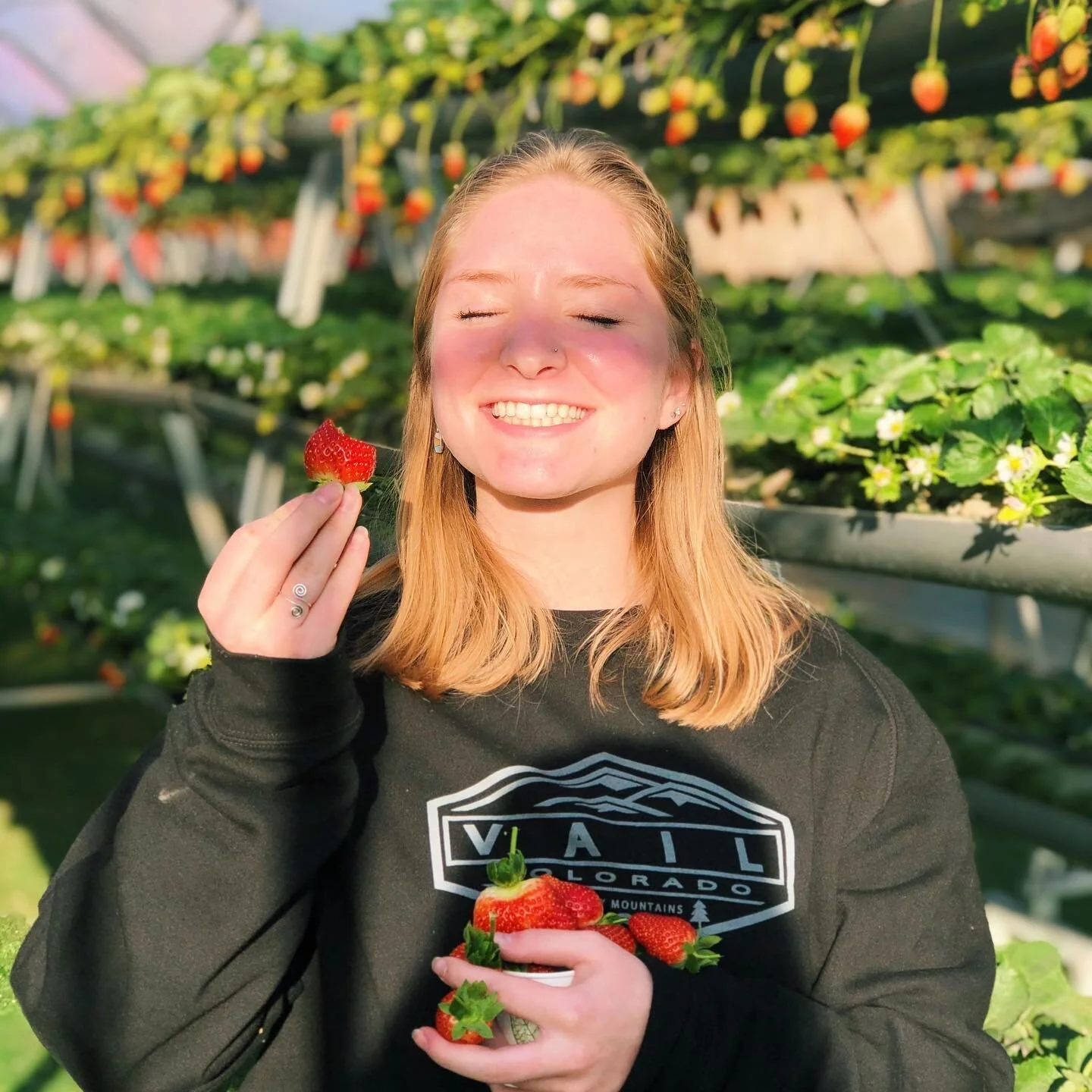 All the berries &amp; cream