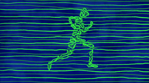 Walk Cycle