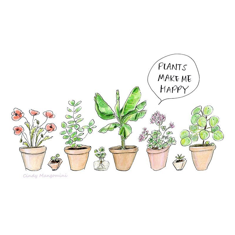 Plants make us happy 😊 Have a great Monday! 
Artwork by Cindy Mangomini ❤️

#naturespresence #naturespresenceboerne #weloveplants #plantsmakeushappy #plantsmakepeoplehappy #plantsmakemehappy #happyplants #naturalliving #mangomini #boerne #boernetexa