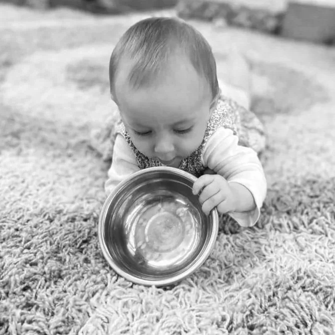 Online workshop – Moving beyond schema: Infant and toddler play from a Piklerian lens