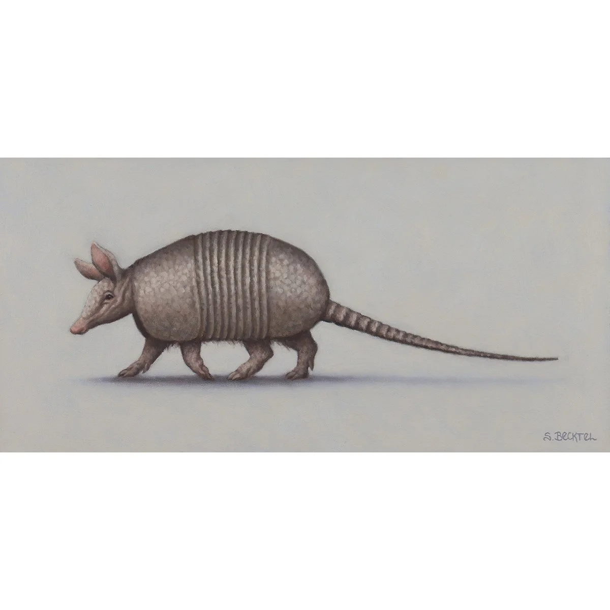 mischief armadillo.jpg