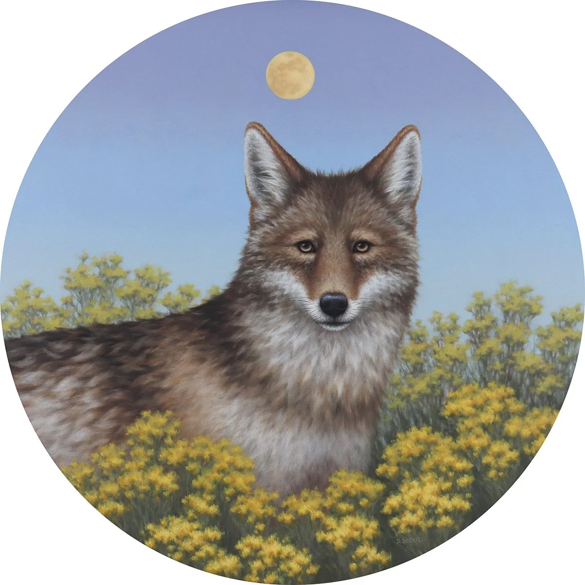 Within Reach │ 24" Round │ Oil on Panel  Available in September through Western Visions