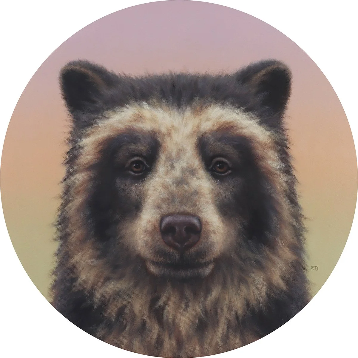 Spectacled Bear │ 16" Round │ Oil on Panel  Click image for purchase info
