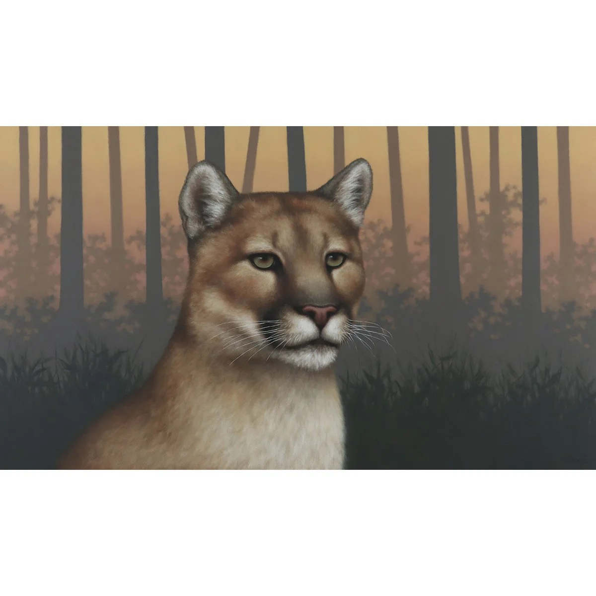 the remnant florida panther.jpg