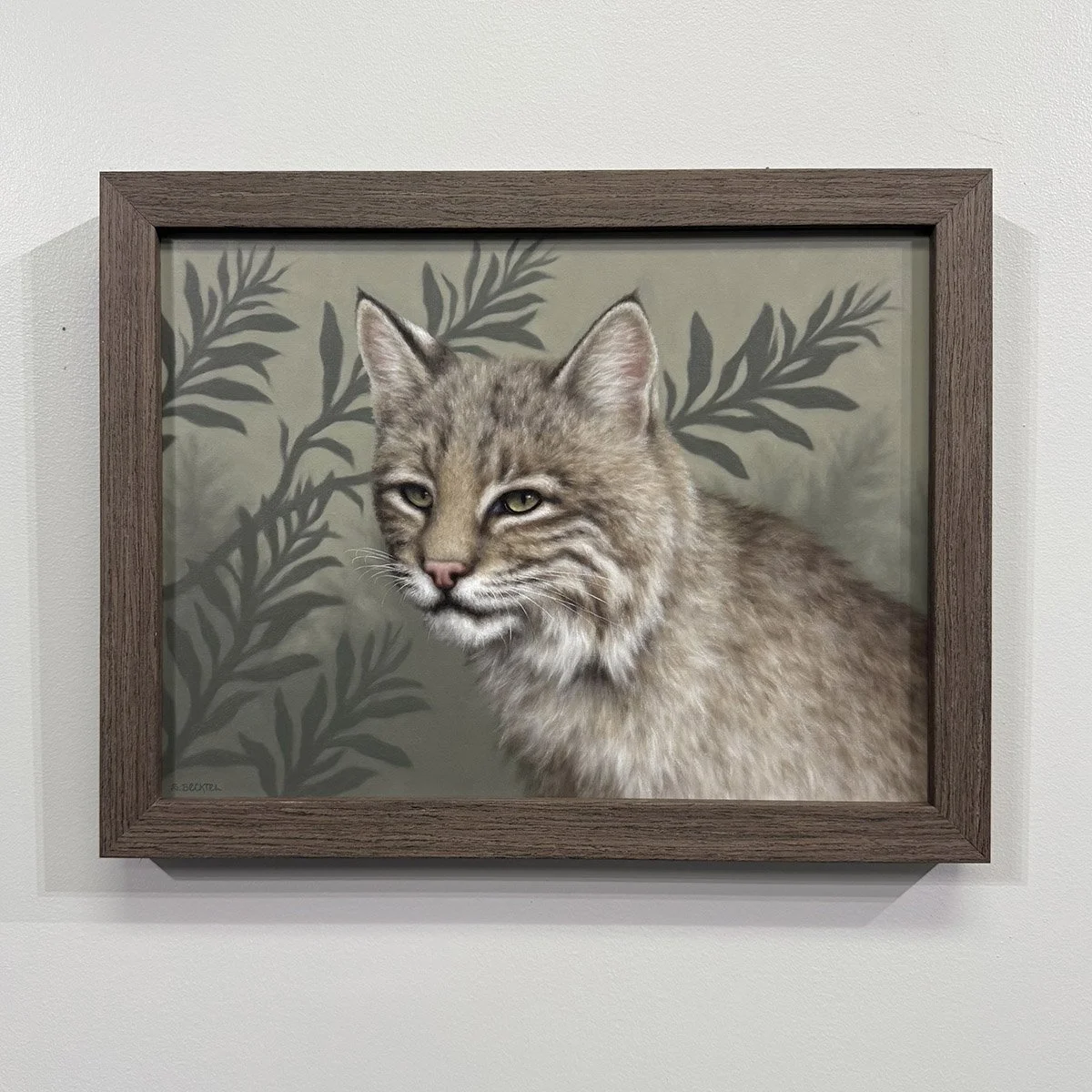 morning hush bobcat framed.jpg
