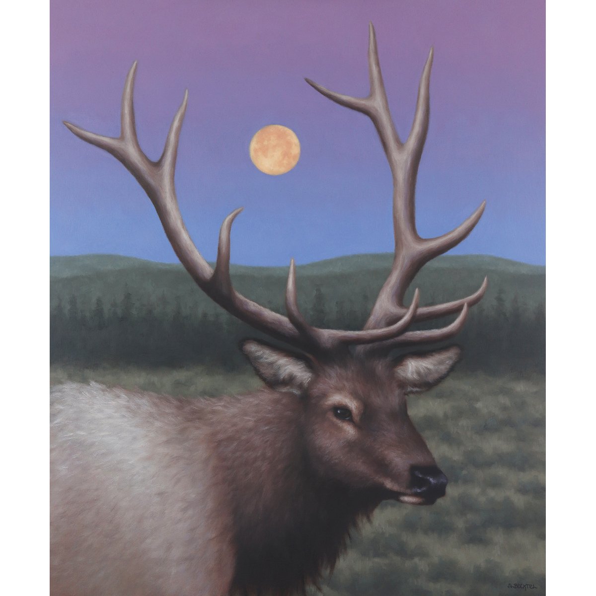 hunter's moon elk.jpg