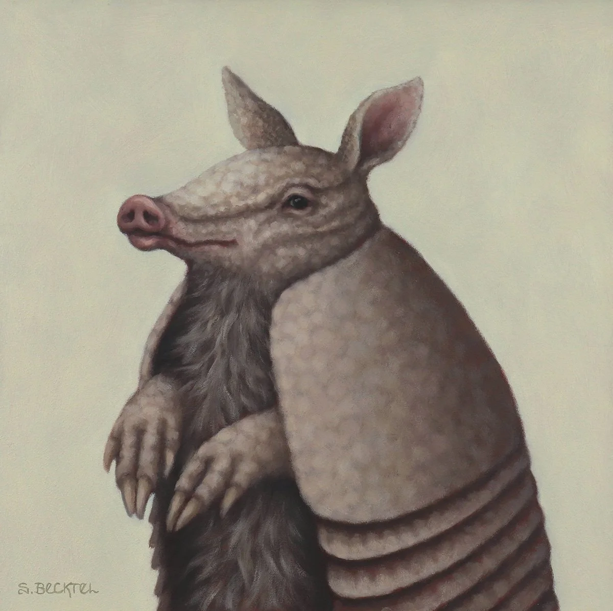 mayhem armadillo.jpg