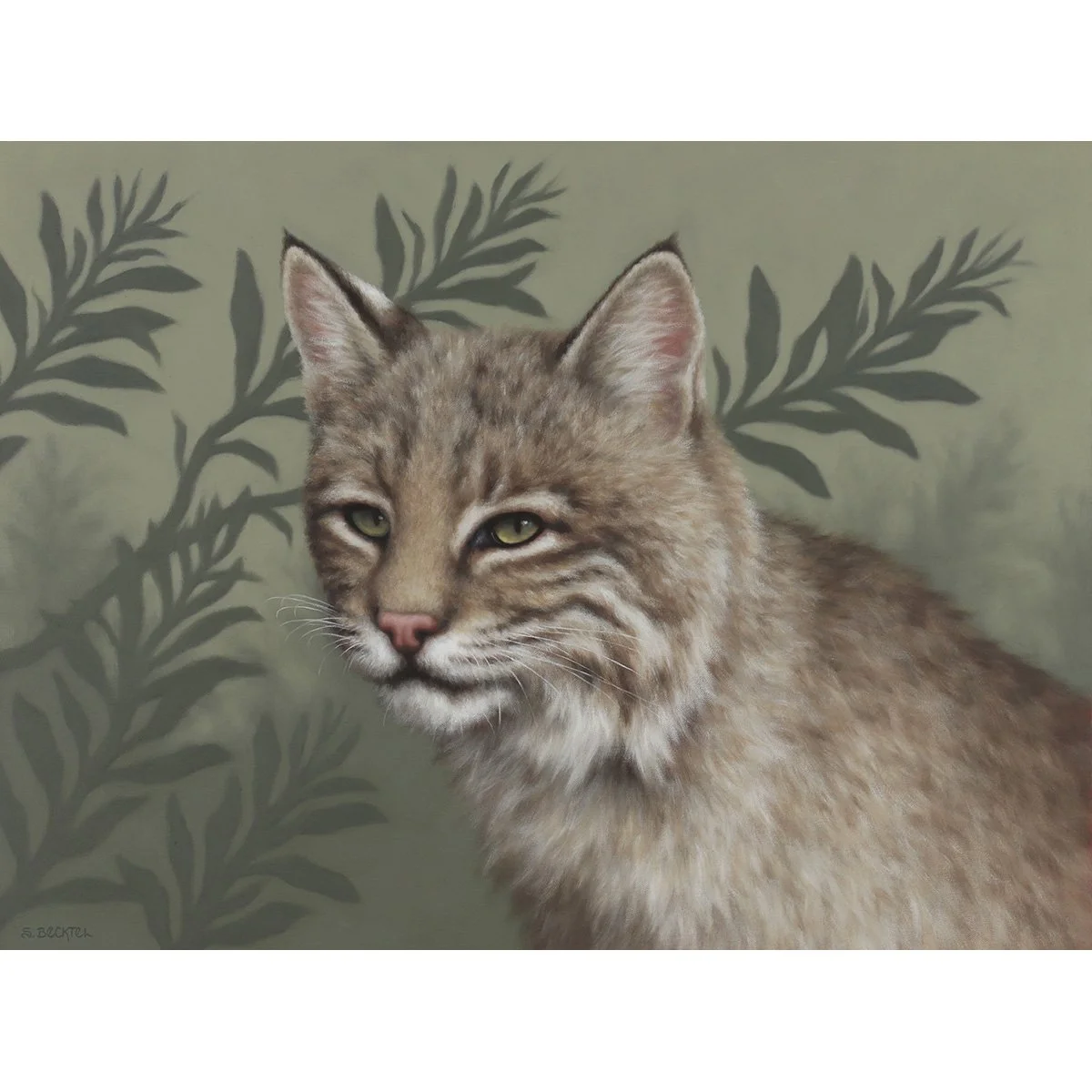 morning hush bobcat.jpg