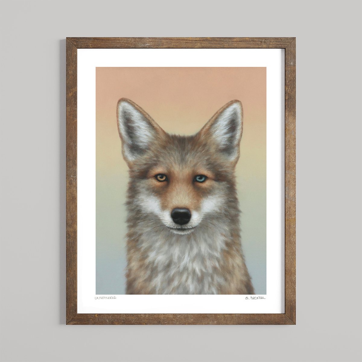 framed coyote portrait untethered.jpg