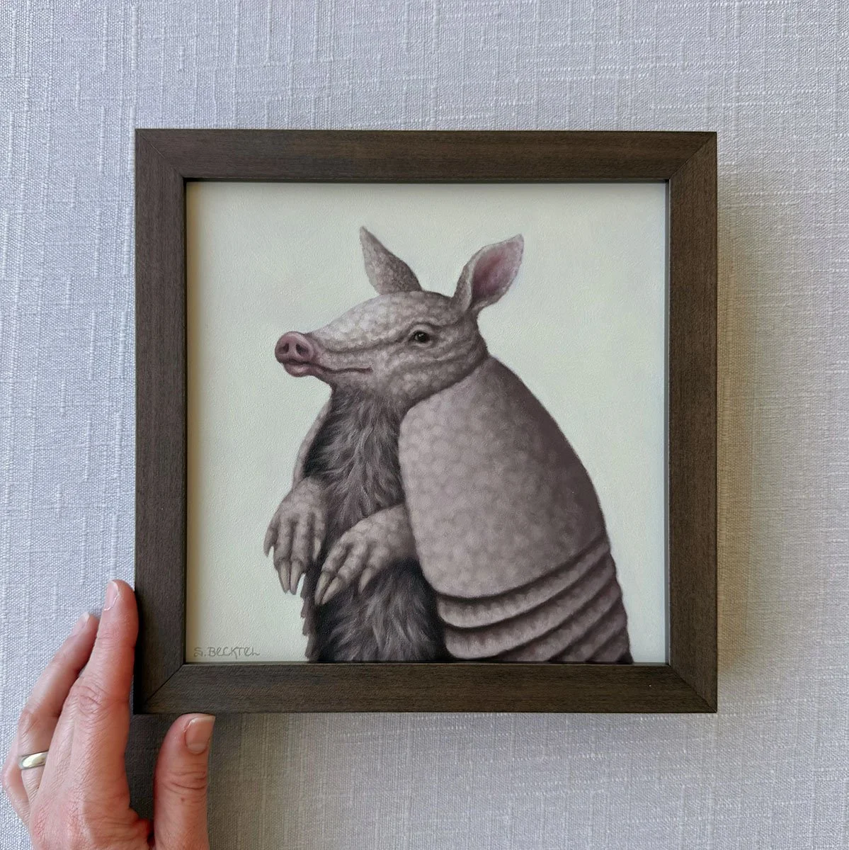 mayhem armadillo framed.jpg