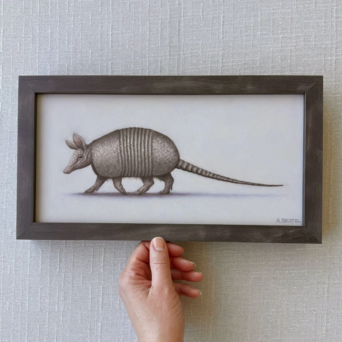 mischief armadillo framed.jpg