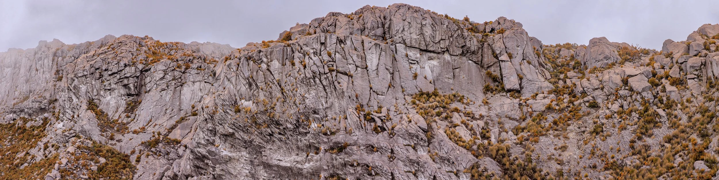 Parque los Nevados y Murillo -0180-Pano.jpg