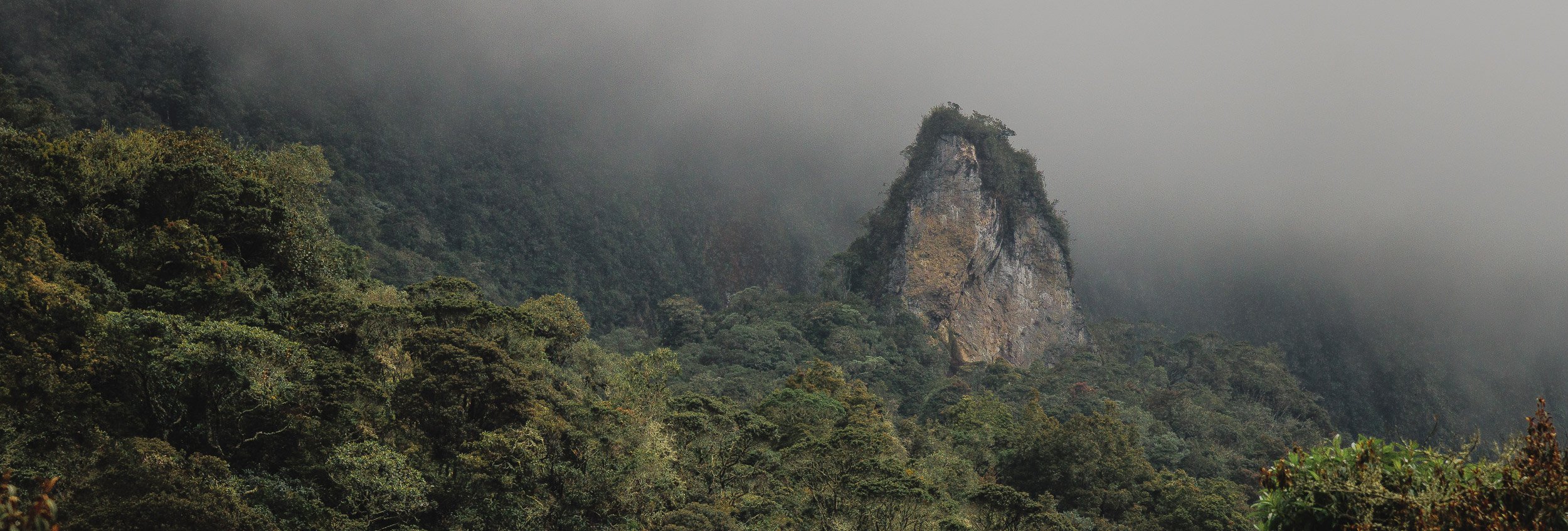 Parque los Nevados y Murillo -2149.jpg