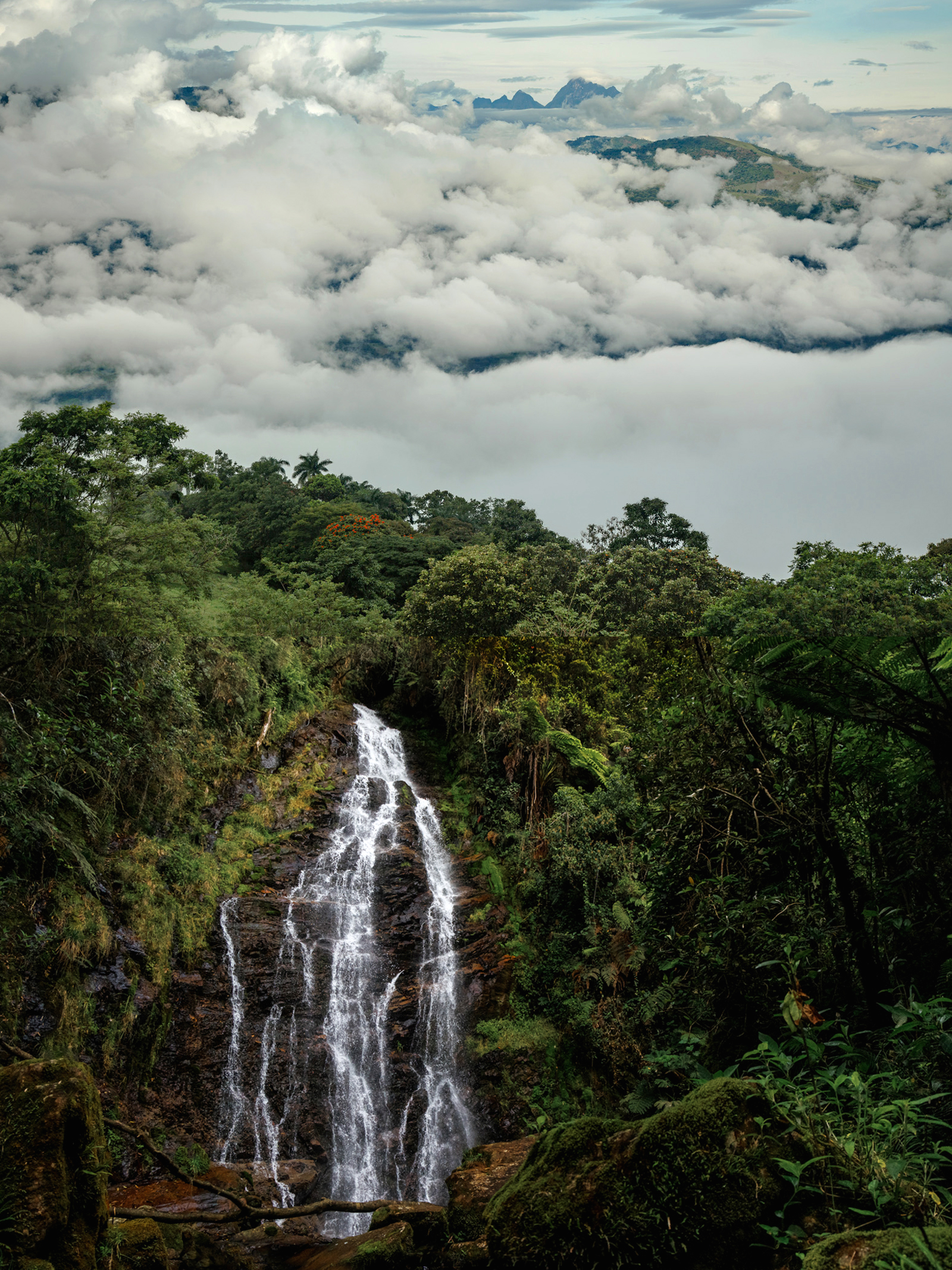 la cristalina belmira.png