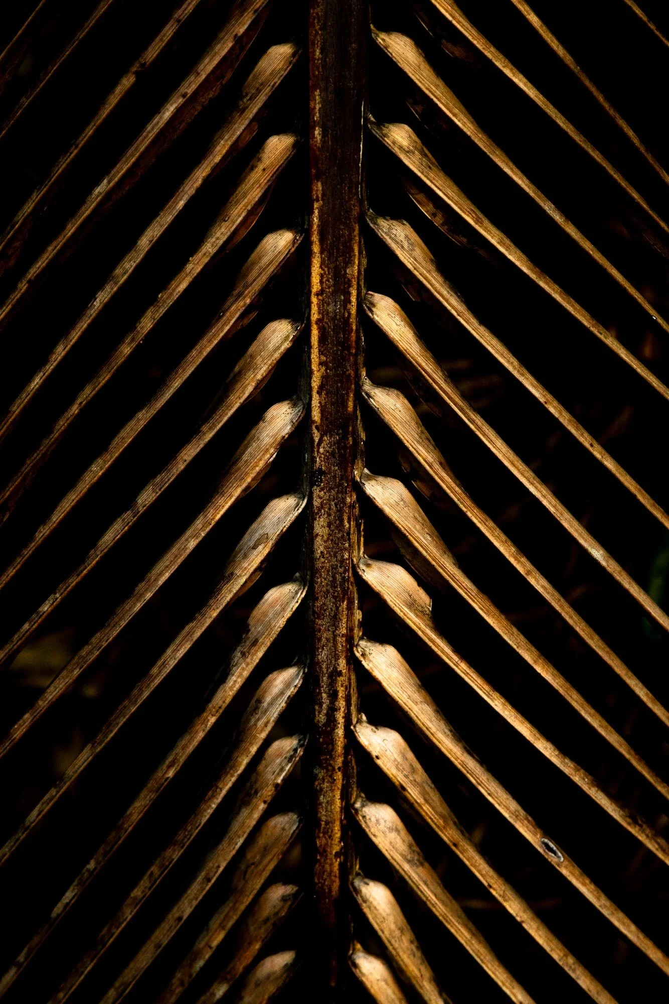 sin título-8285.jpg