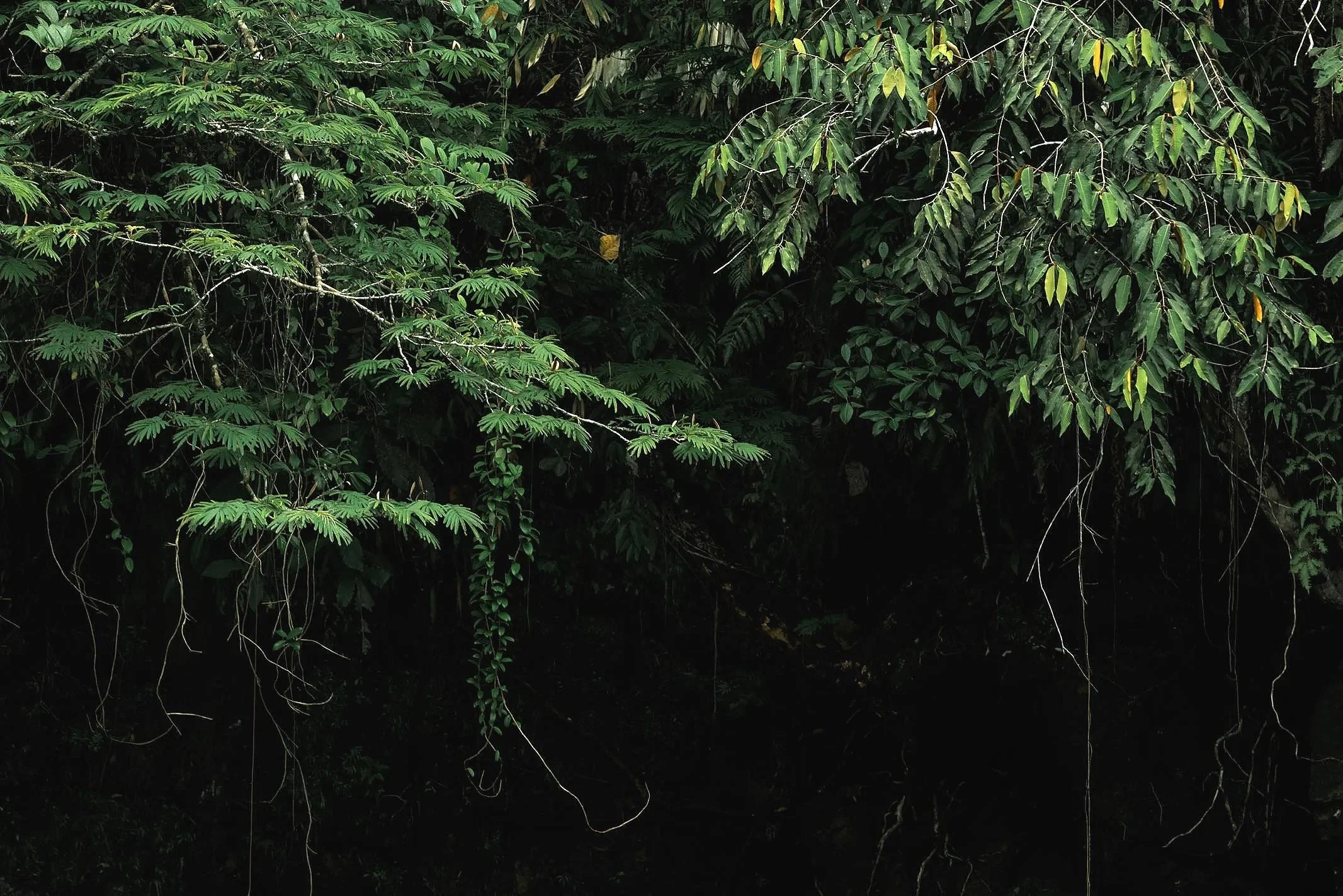 el+retiro+guatape-7087.jpg