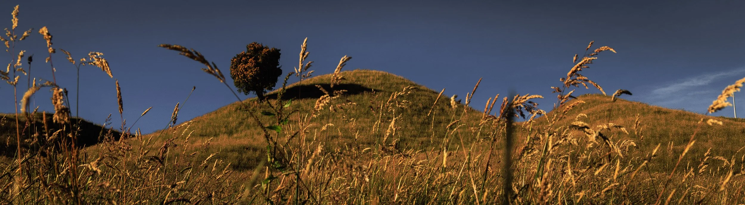 Parque los Nevados y Murillo -0697.jpg