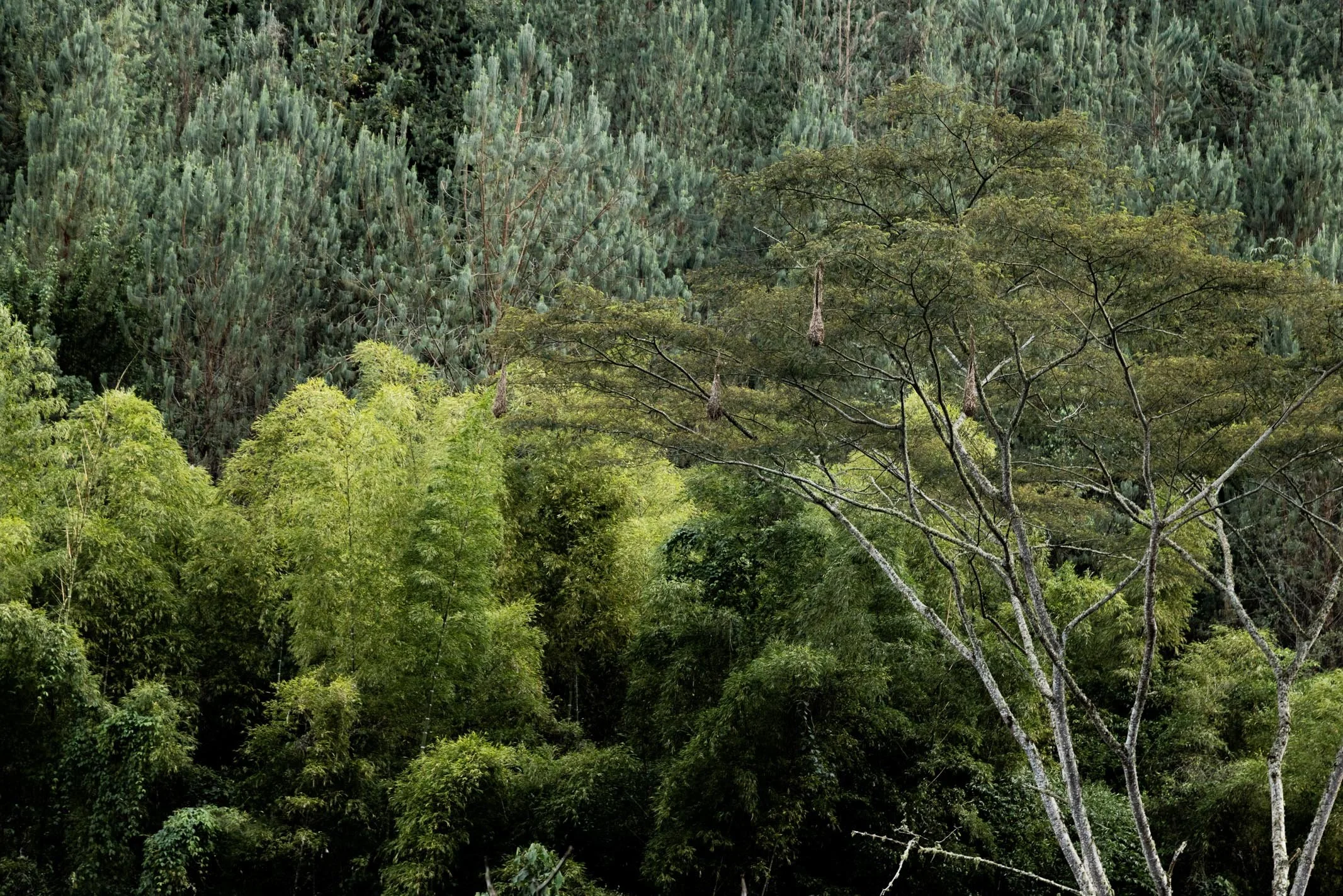 171A8709.jpg