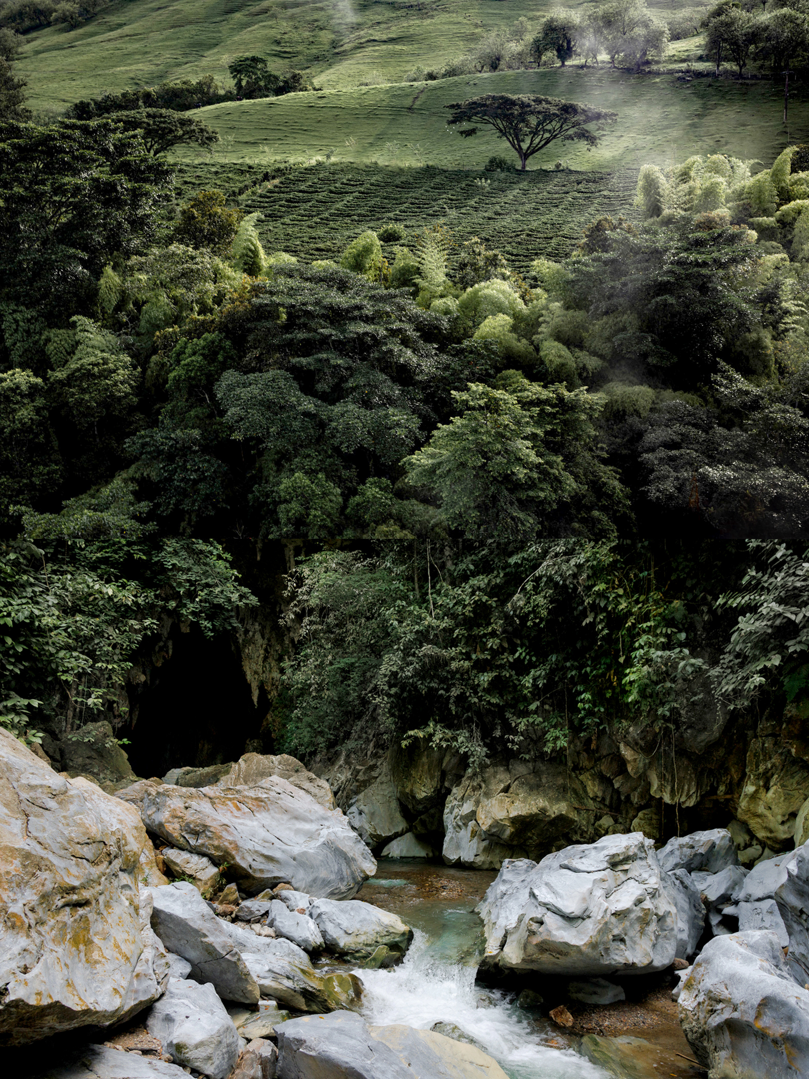 betania la arabia.png