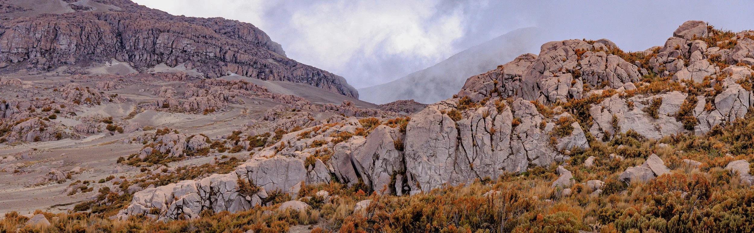 Parque los Nevados y Murillo -0397.jpg