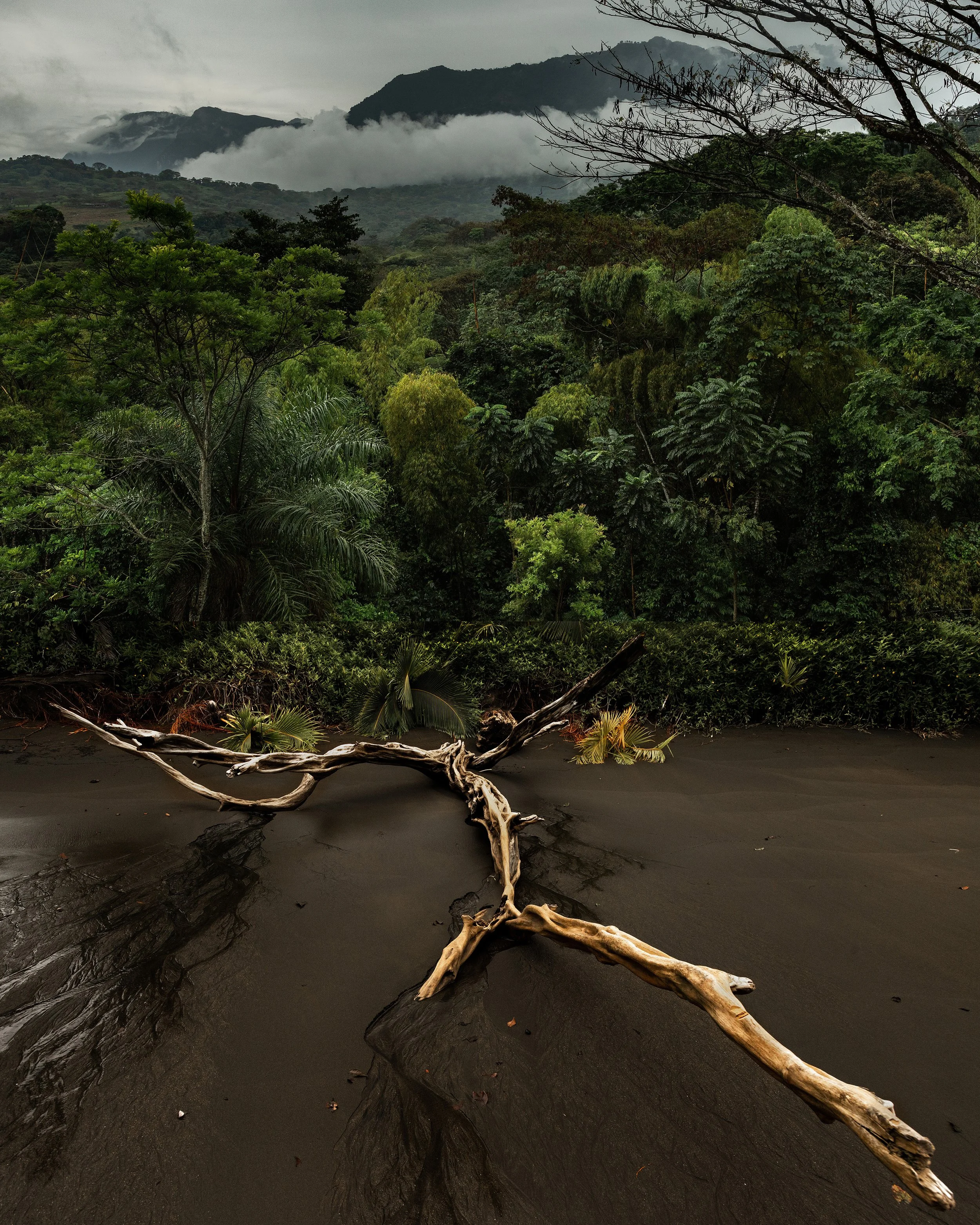 peñalisa terco.jpg