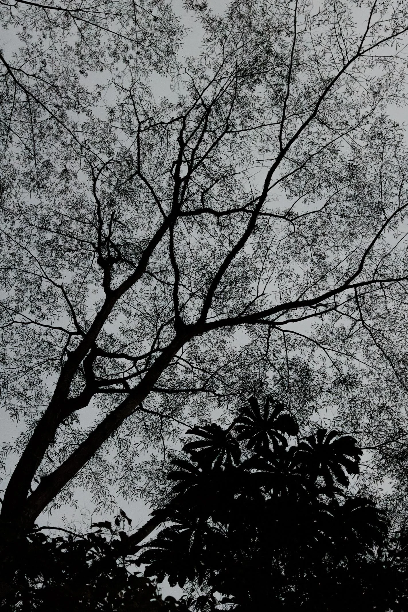 171A8437.jpg