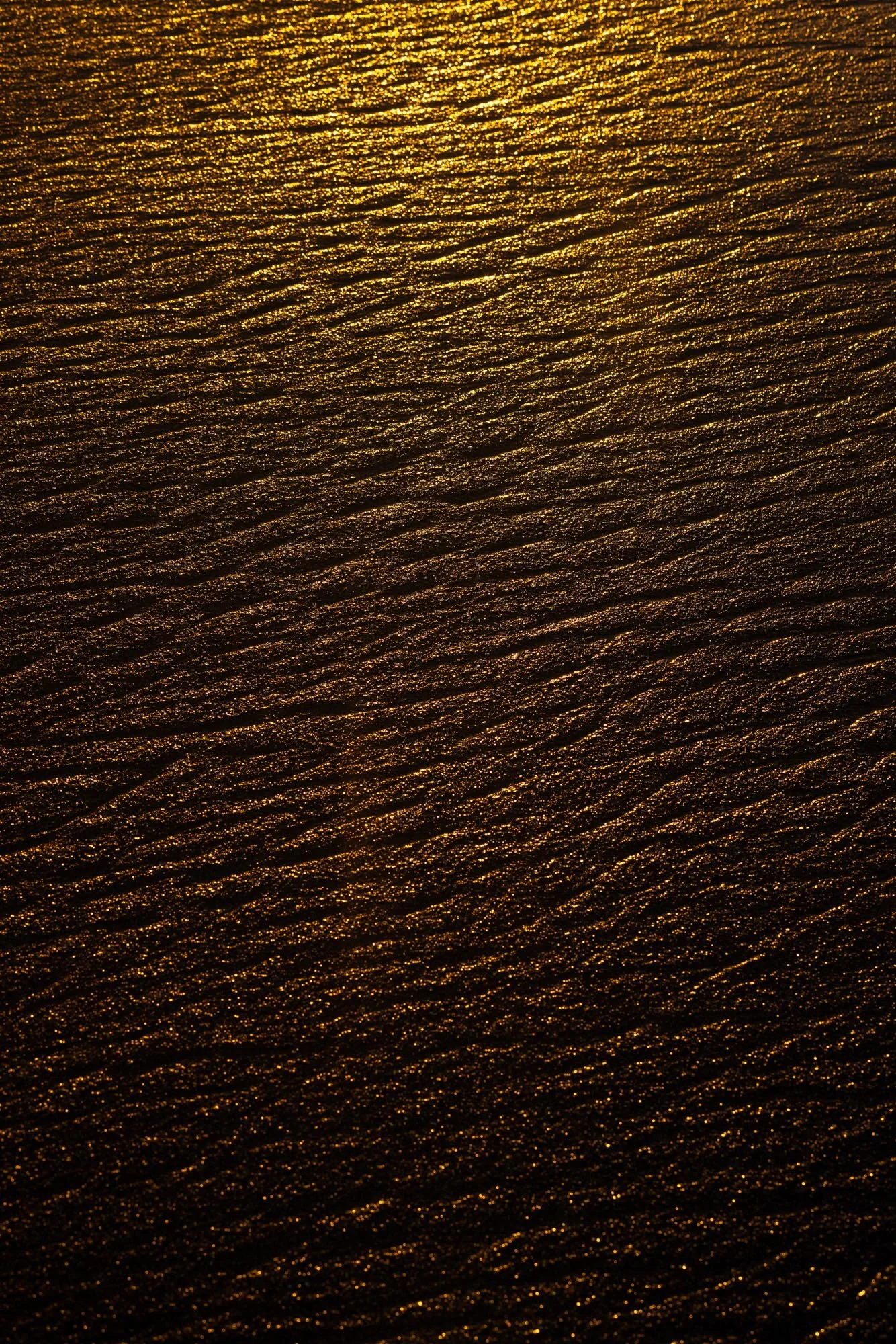 _71A5565.jpg