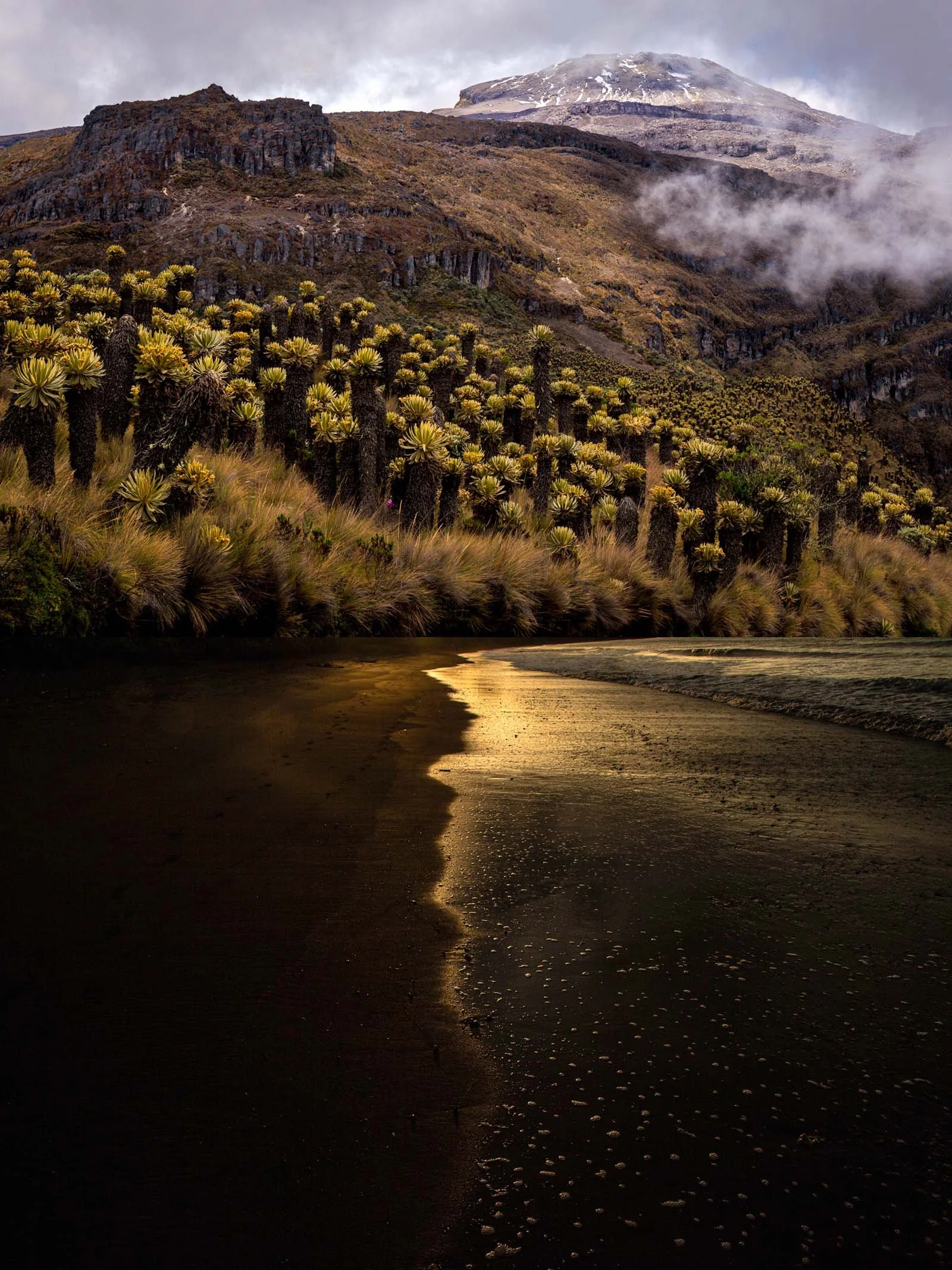 Ruíz / Nuquí
