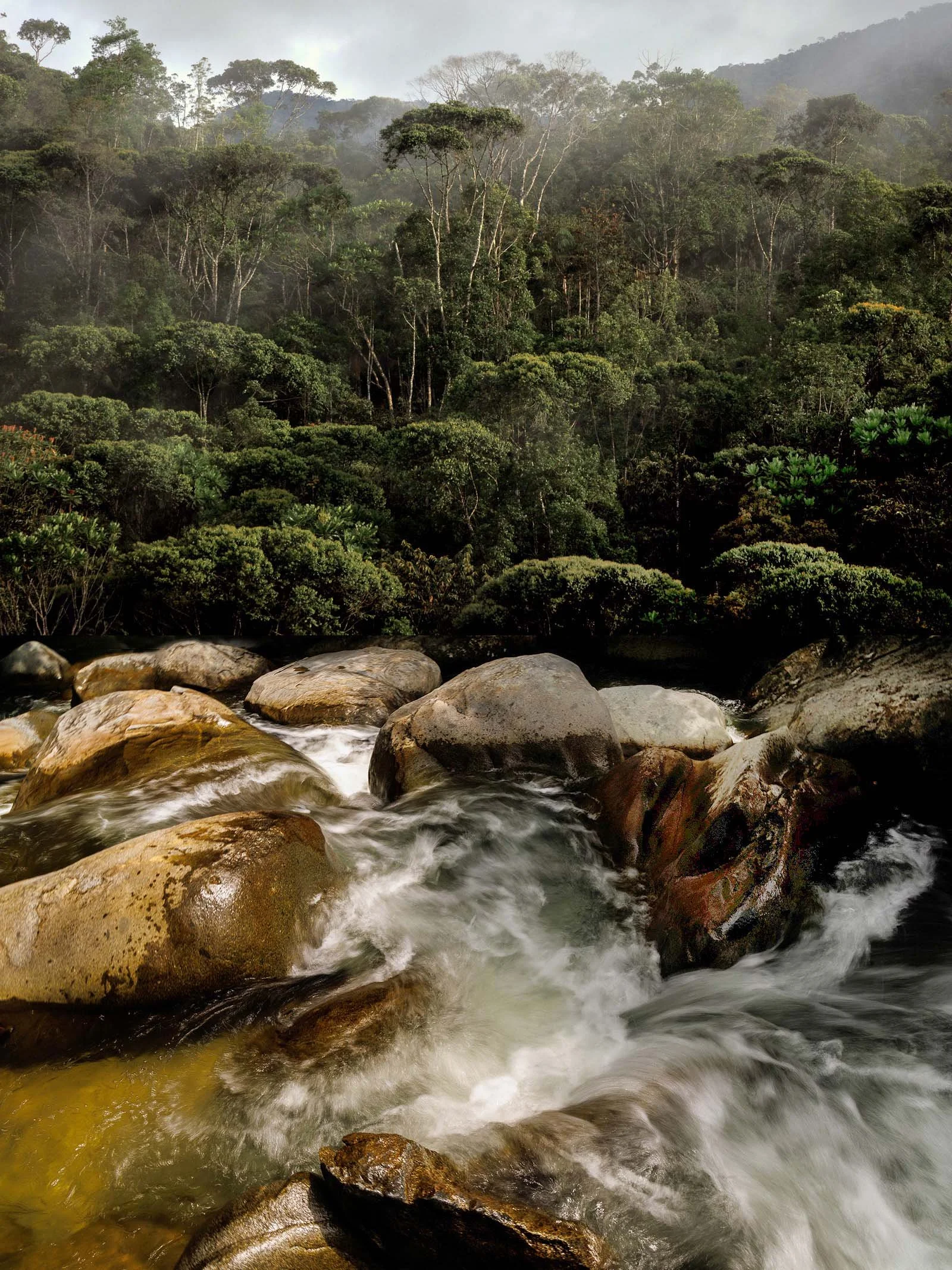 San Carlos / Piedra Montada