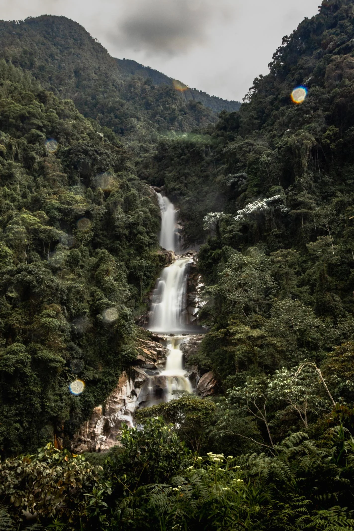 171A8559.jpg