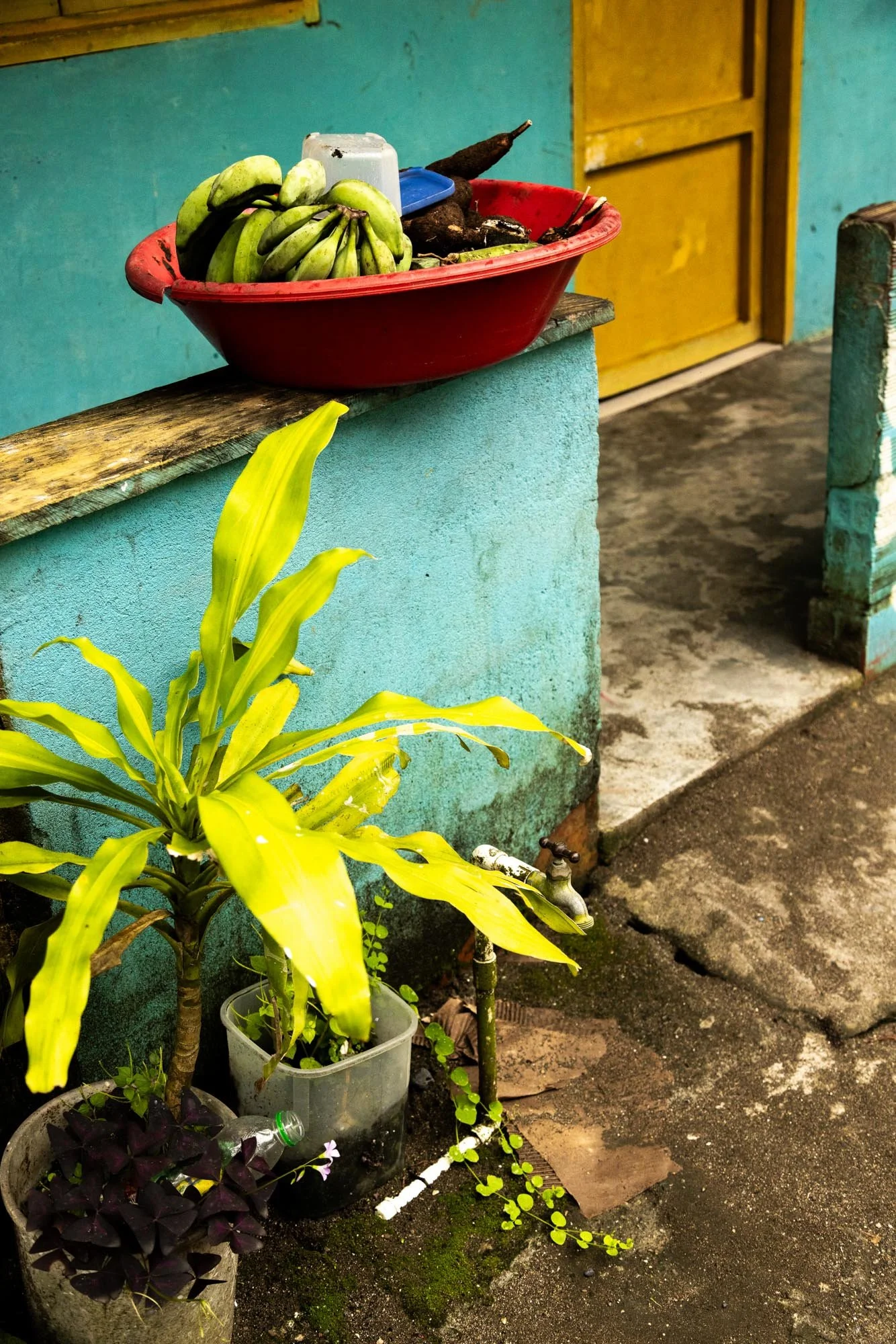 _71A5940.jpg