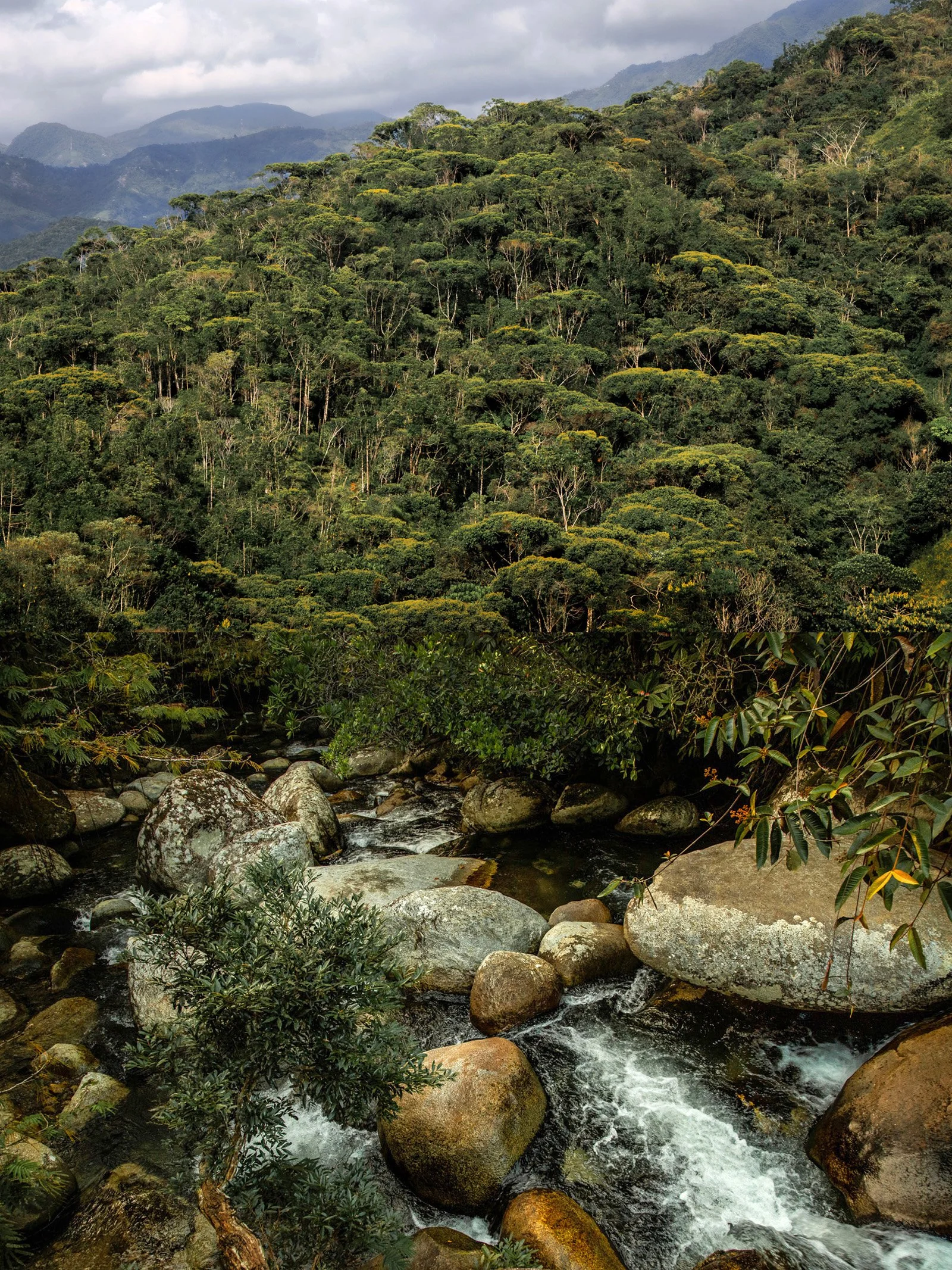 san carlos guatape.jpg