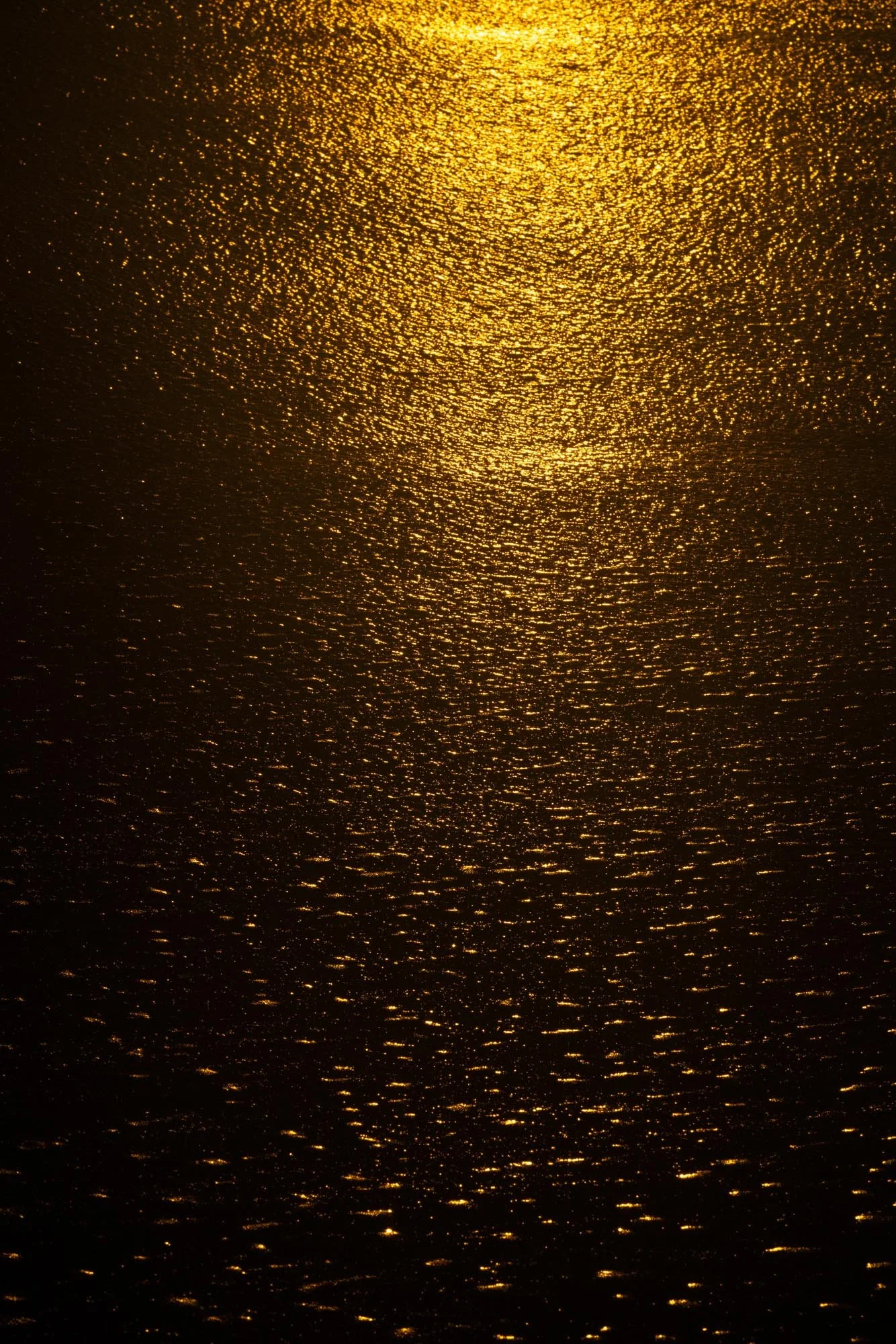 _71A5573.jpg