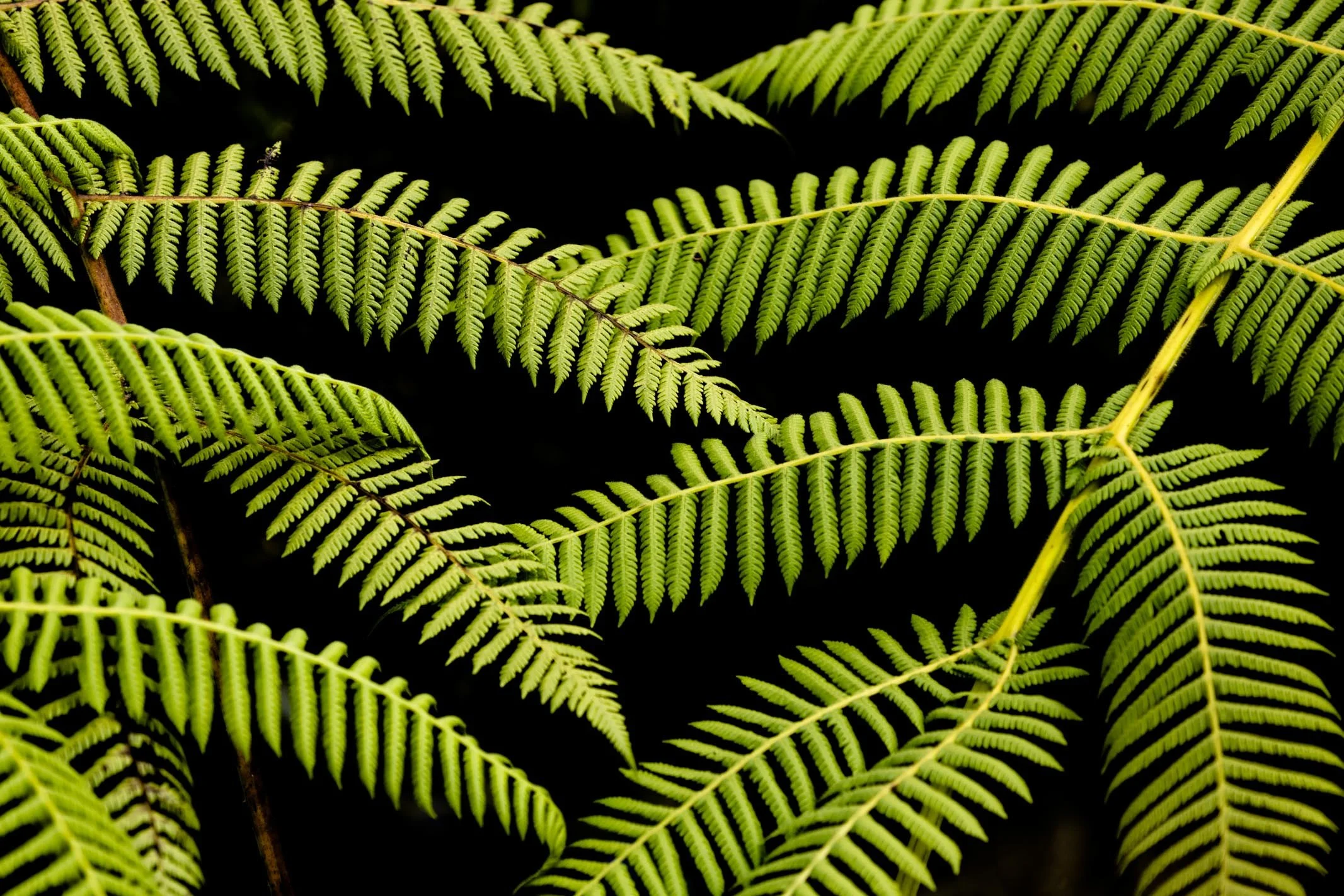 el retiro guatape-6795.jpg