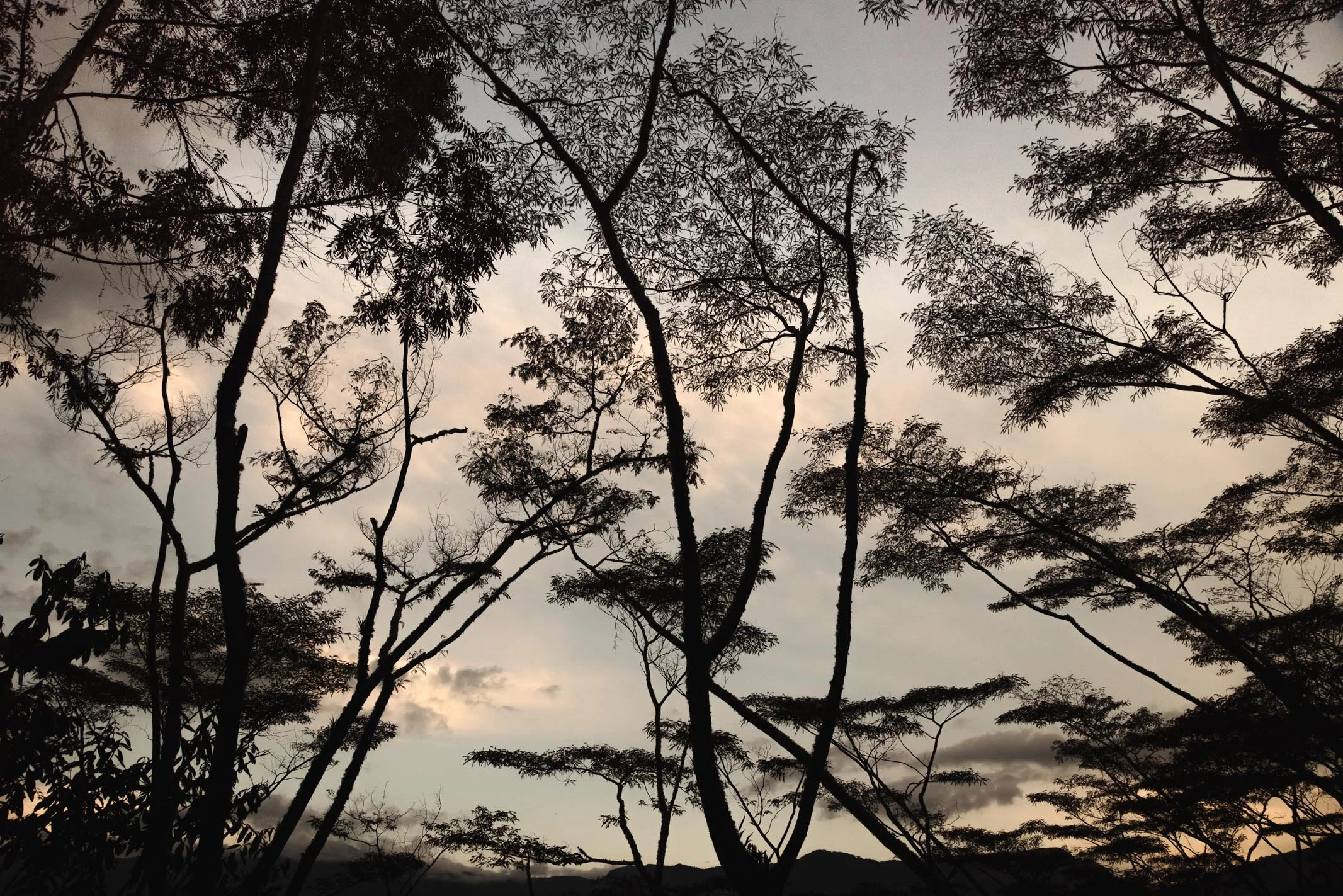 Jardin y Tapartó