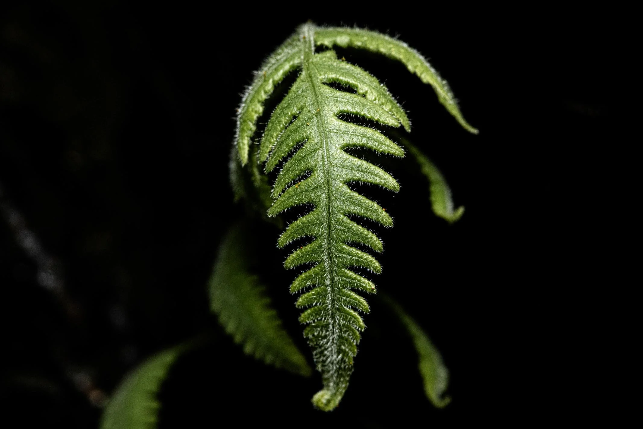 171A7110.jpg