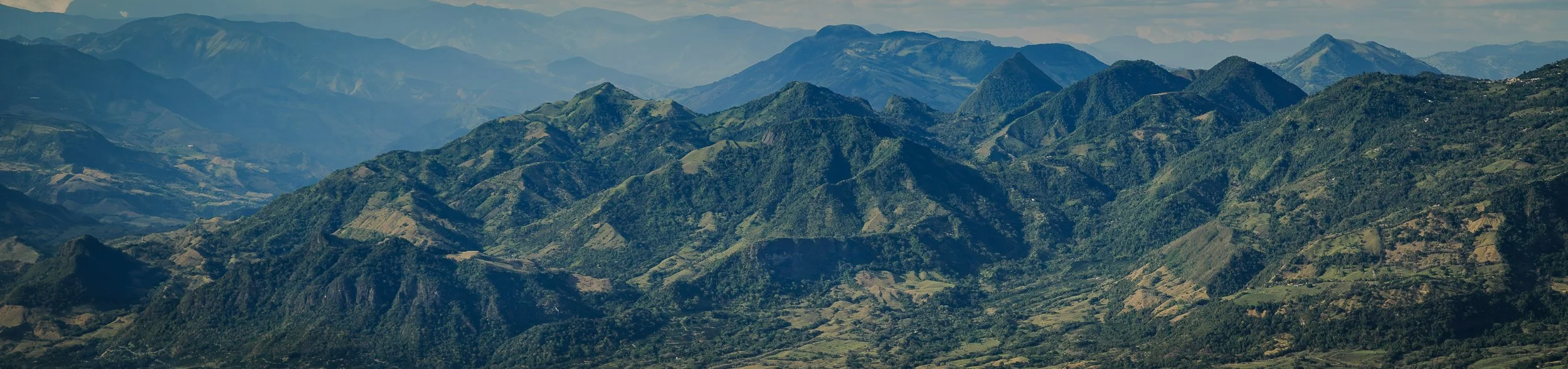 sin título-2393.jpg