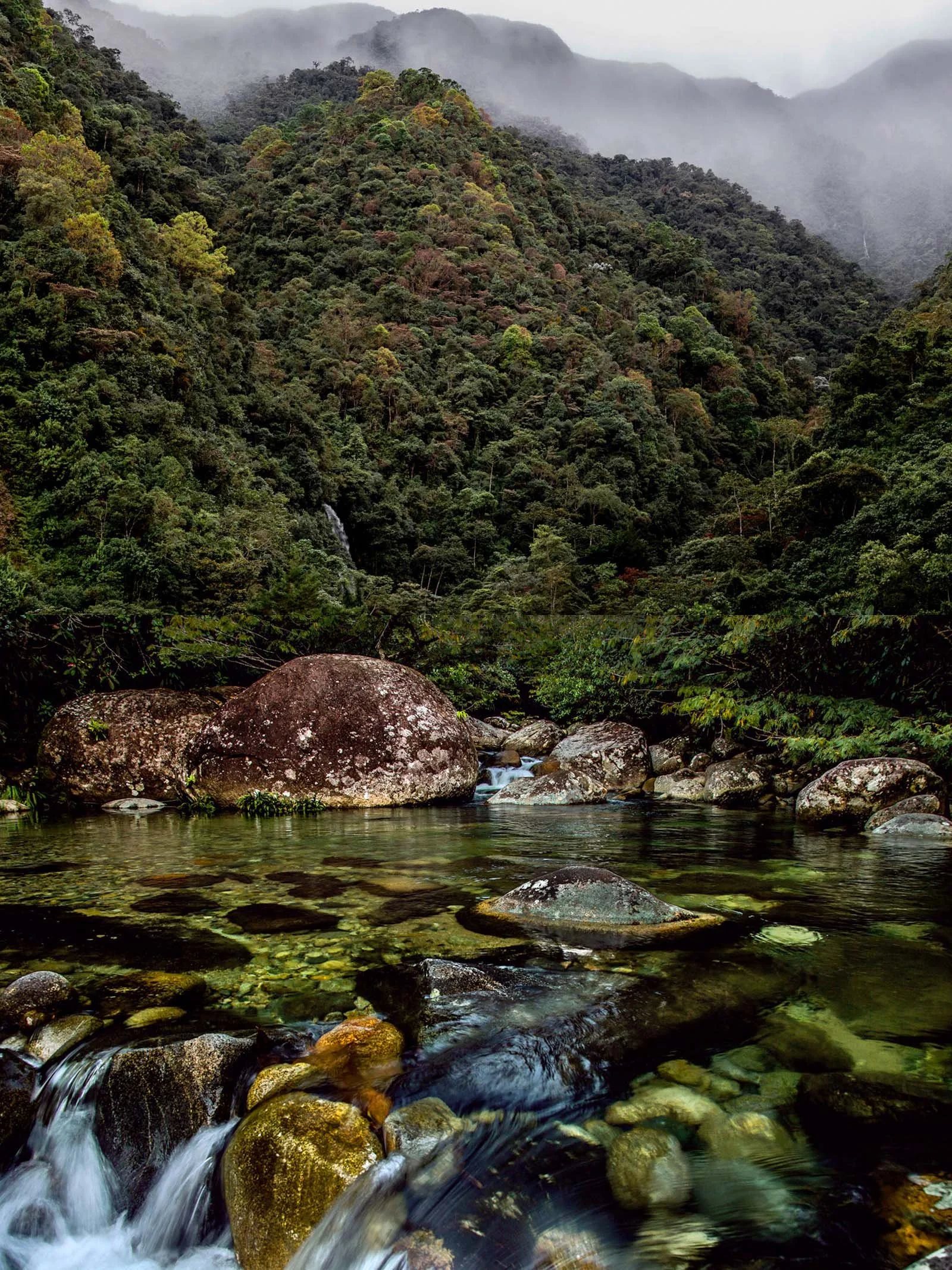 Citará / Arenal