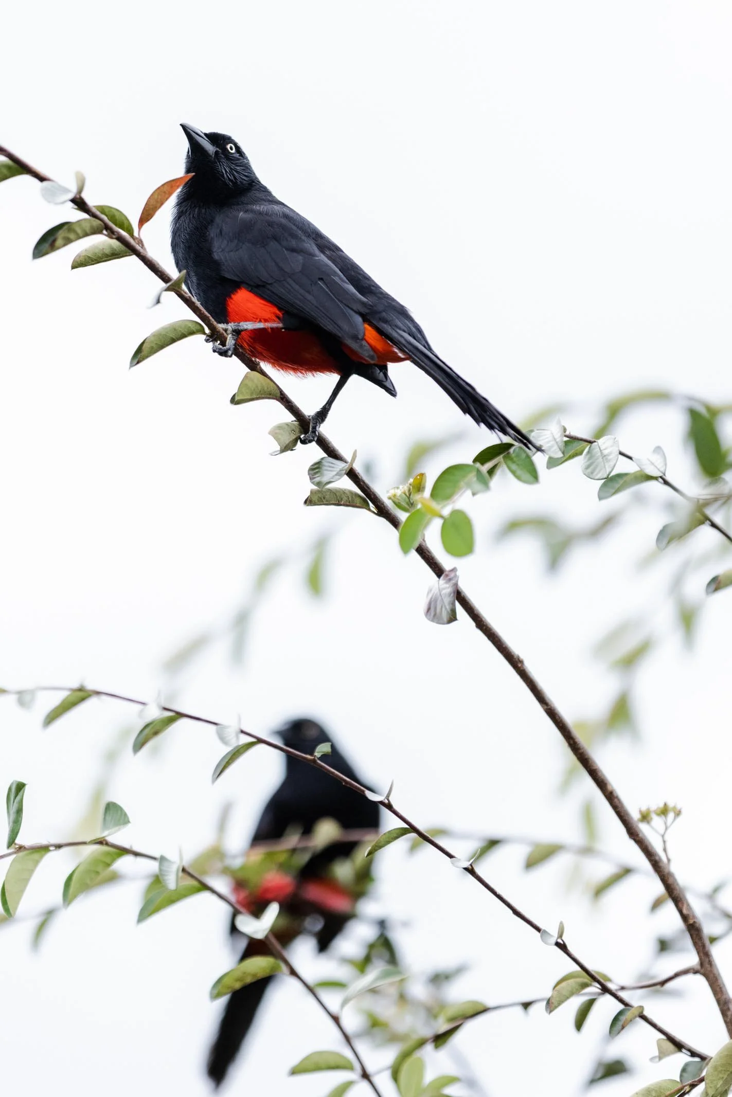 el retiro guatape-6840.jpg