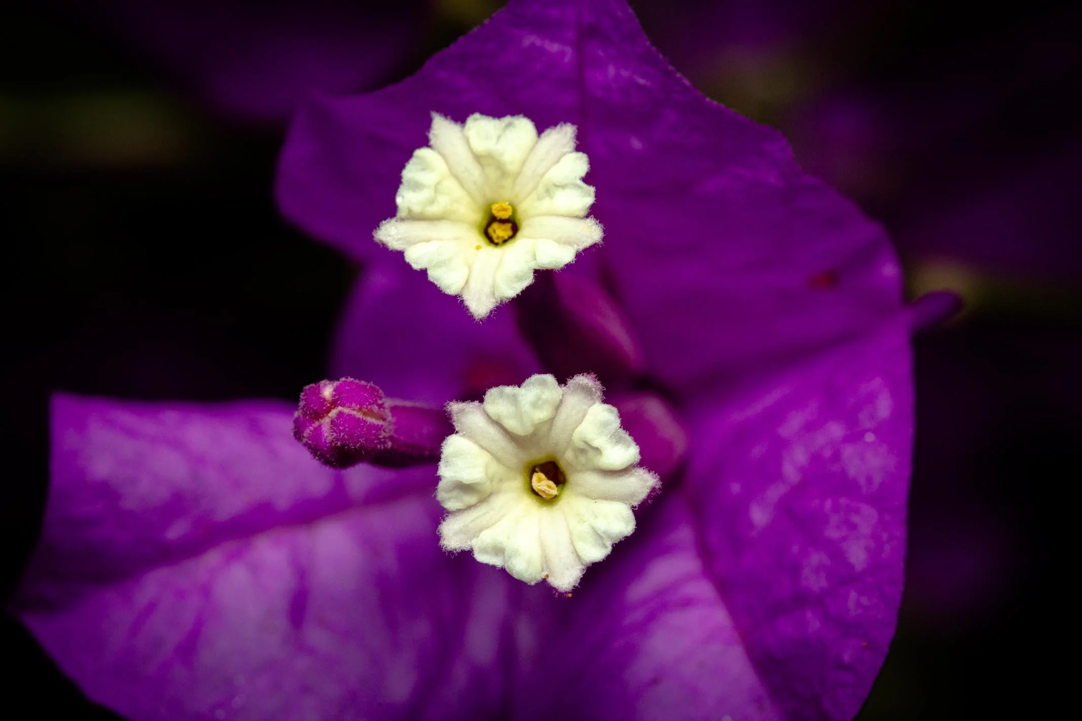171A7100.jpg
