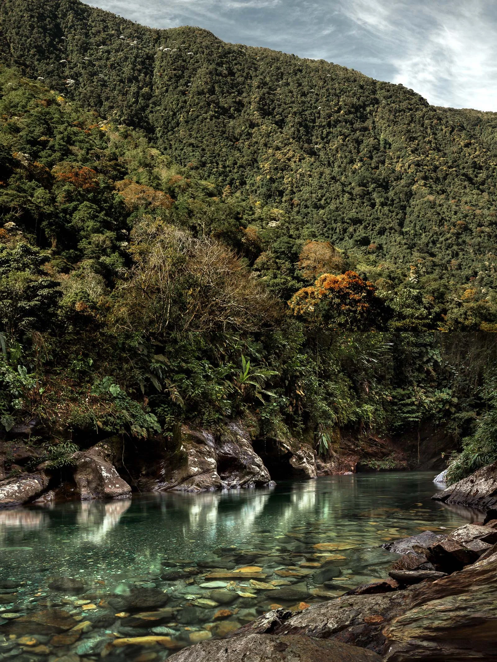 Jericó / Melcocho