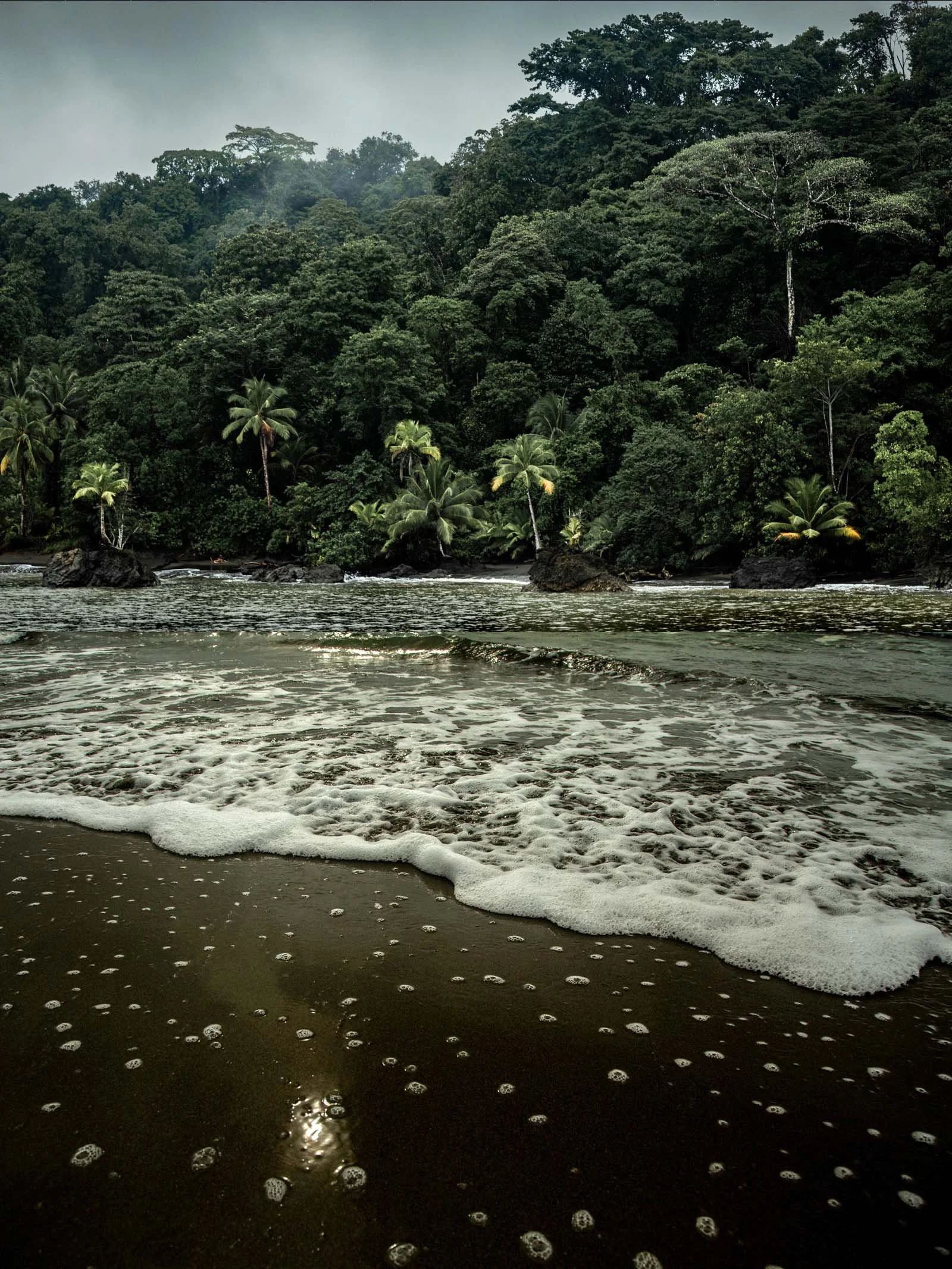 Rio Cedro / Cordoba
