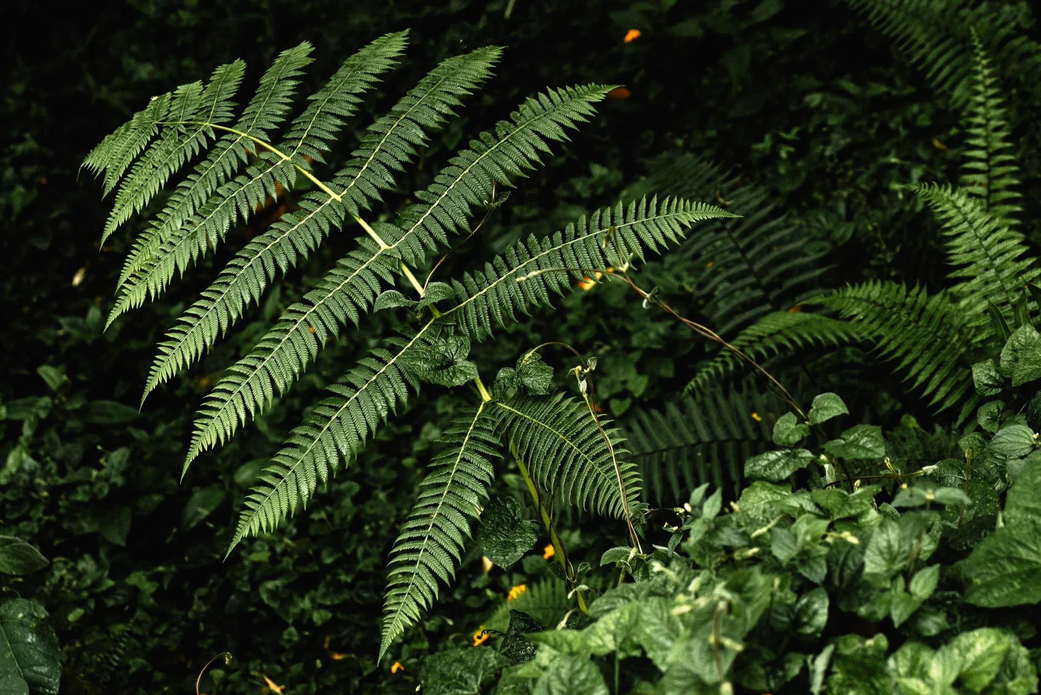 171A7192.jpg