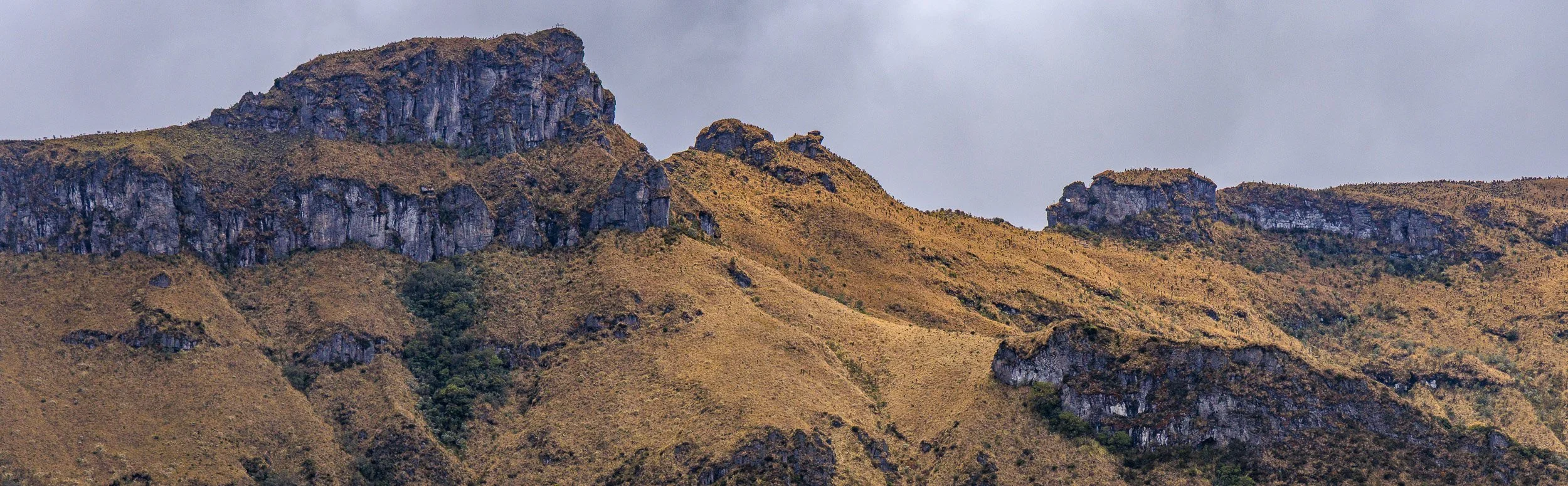 Parque los Nevados y Murillo -2058.jpg