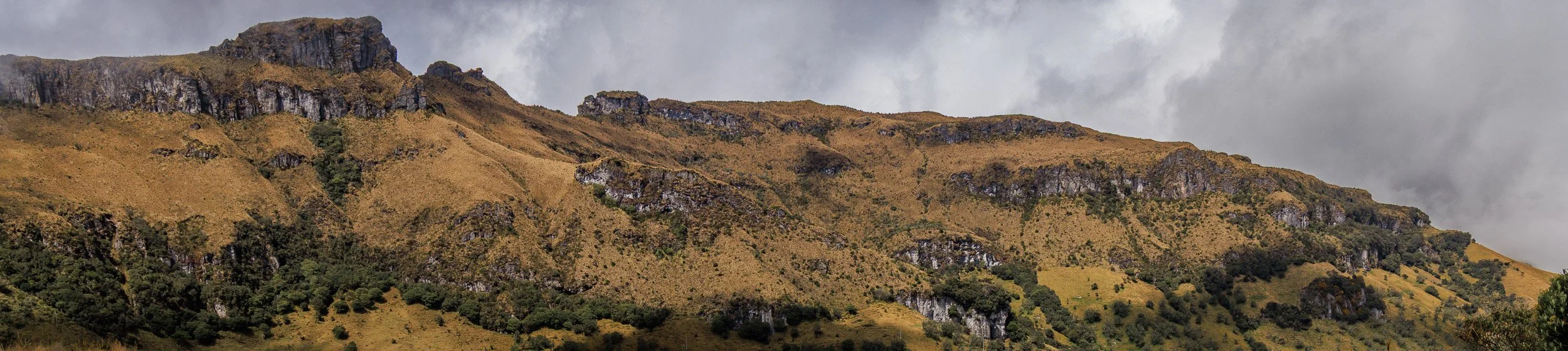 Parque los Nevados y Murillo -0081.jpg