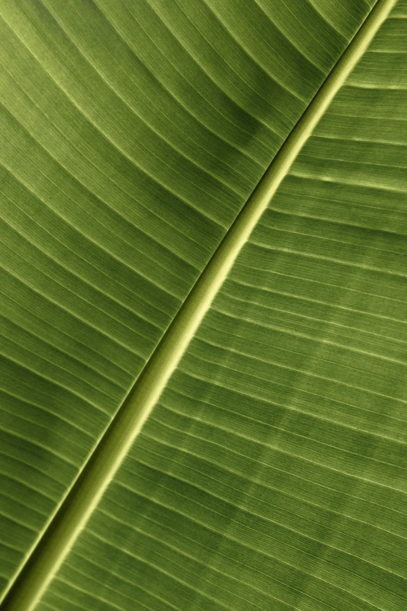 171A8297.jpg